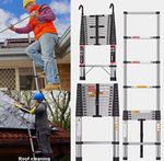 2.5 mTelescopic Extension Ladder 11 Step 150kg Aluminium Anti-slip Silver/Black