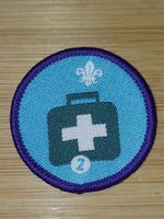 UK Scouting Current Scout Activity Badge Emergency Aid 2 OLD LOGO