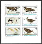 Bernera Islands Scotland, 1982, Birds, MNH Imperf M/S Sheet of 6 Stamps #M1856