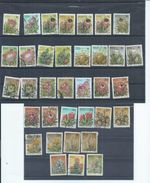 South Africa stamps. 1977 Protea Succulents series used to 1r. (K804)