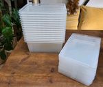 The Spider Shop Medium Tub - Secure Plastic Enclosures - Lot - Used