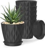 plant pot