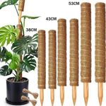 Moss Pole Extendable Moss Pole for Indoor Plants Monstera Cheese Plant S/M/L/XL