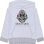 Harry Potter - Hogwarts Kids Sweatshirt
