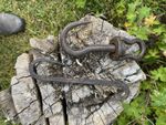 Antique Original Cast Iron Hook Brackets (2) Brown Salvage Hardware