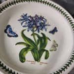 Portmeirion Botanic Garden Dinner Plate 10.5" Dia Agapanthus African Lily