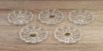 Vtg Echt Bleikristall Lead Crystal Coasters Starburst Pattern Scalloped Edge X5