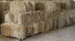 Hay. Small Bales, Warwickshire  Excellent Quality to collect/price is per bale
