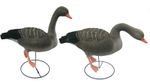 Greylag Standing Decoy Full Body Feeding Goose Decoy Life Sized Hunting Shooting