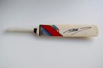 Matthew Hoggard Signed Autograph Signature Cricket Bat England Ashes COA AFTAL