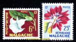 EBS Madagascar 1959 - Angel’s Trumpet - Poinsettia - MG 336-337 - MNH**