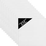 12X Blank Canvas Acrylic Painting Artist Oil Square White Canvas Framed 20x20cm