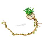 Jumping Spider Enclosure Accessories Jumping Spider Platform Habitat Decor