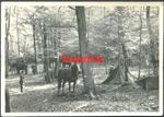 G5/6 WW2 ORIGINAL PHOTO OF GERMAN WEHRMACHT SOLDIERS RESTING IN CAMP