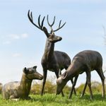 Scottish Highland Stag & Doe Statues Garden Outdoor Deer Sculptures