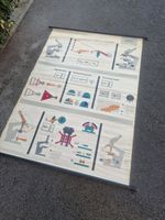 Carl Zeiss Jena Chart