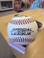 Minnesota Twins MLB Rawlings Team Logo Collectible Baseball B63