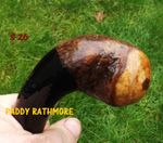 Irish blackthorn walking stick sent from Ireland cane wood shillelagh thorn s26