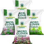 Micro Mixed Clover Grass Seed Eco-Friendly Drought Resistant Lawn Ground Cover