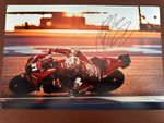 PEDRO ACOSTA HAND SIGNED 12X8 PHOTO 2024 TECH 3 RED BULL GASGAS KTM MOTOGP