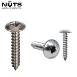 No 4 6 8 10 12 POZI FLANGE SELF TAPPING SCREWS A2 STAINLESS STEEL FLANGE TAPPERS