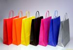 Coloured Paper Bag Twist Handle Party Gift Carrier / Bags With Handles - Medium