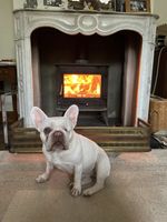 Brass Fire Fender Regency Vintage Antique Hearth Kerb Fireside