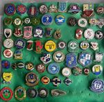 NORTHERN IRELAND FOOTBALL CLUB BADGES