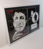 Gerry Cinnamon ERRATIC CINEMATIC Ltd Edition Signed FRAMED Picture Disc Display