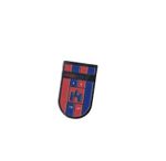Videoton FC ( Hungary ) - lapel badge butterfly itting