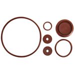 CHAPIN 6-8180 Piston Pump Repair Kit 6DZD9