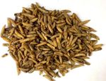 Dried Calciworms Refill Bags  - Wild Bird Food, Koi Food, Mealworm Alternative