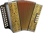 Hohner Pokerwork D/G MELODEON at Hobgoblin Music