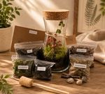 DIY  Terrarium Project|Full Kit + Glass Vase|Instructions Included|Unique Gift