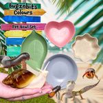 Bugznbits Colours, Small Pet Bowl Set, Snails, Millipedes, Hermit Crabs, Spider