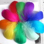 100 Solid Coloured Feathers - Mixed Sizes - Art, Craft, Bubble Balloon - Feather