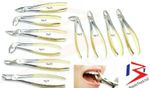 Set of 10 Tooth Extraction Extracting Forceps Surgical Dental Instruments UK CE