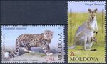 Moldova 2013 Fauna Animals Kangaroo, Leopard 2 MNH stamps