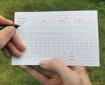 Cricket Umpire Cards- 50 Overs- Score Sheets Referee Cards - Bowler