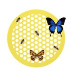 Bee Watering Feeder Drinking Station Honeycomb Feeder Bee Drinker Island Tray