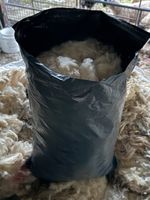Large Bag of Raw Sheep’s Wool/Fleece, for crafting, spinning, felting, gardening