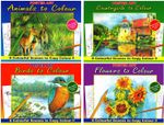 Set 4 Adult Colouring Books BIRDS, FLOWERS, ANIMALS COUNTRYSIDE Paint Pencil Pen