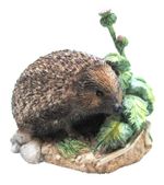 Border Fine Arts Prickly Encounter B1178 - Hand Made in Scotland + Gift Pouch