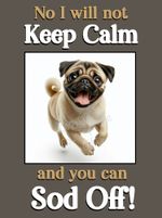 Pug Pet Dog Funny Flexible Fridge Magnet Christmas Keep Calm Gift