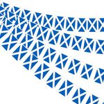 Scotland Scottish Blue White Cross 10 Metre 20 Flag Plastic Bunting Flags Sport