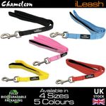 Dog lead Padded leash Lifetime guarantee Neoprene- 4 or 6 Foot 1.2m-1.8m
