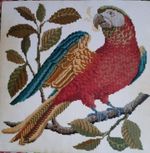 Elizabeth Bradley tapestry chart 16 x 16 inches 'Alister The Parrot'