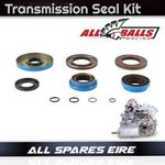 POLARIS RANGER 1000D DIESEL TRANSMISSION REAR AXLE DIFF SEAL KIT (2015-2018)