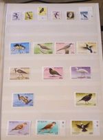 St Kitts 1981 Birds Set X18 MNH 