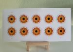 AFRICAN DAISY Flower Global USPS Forever Stamps (Sheet of 10) Mint MNH